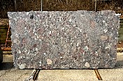 DSC_1217.jpg